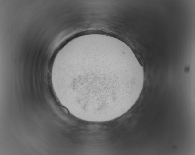 X0000115730242200912241632