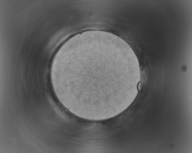 X0000115730243200912241632