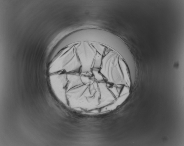 X0000115730244200912241632
