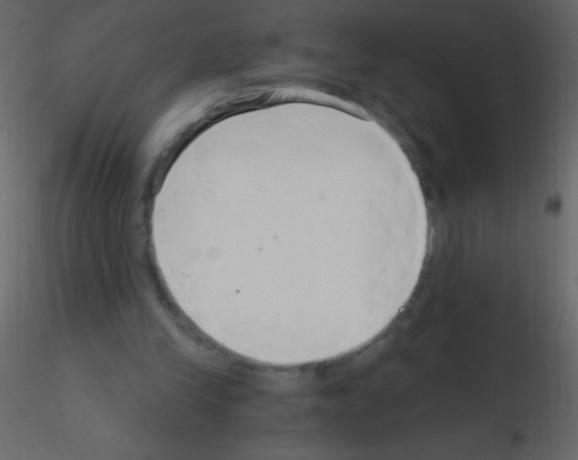 X0000115730245200912241632