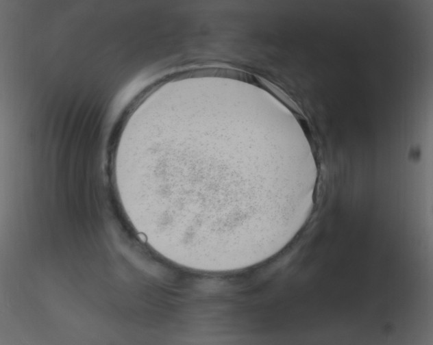 X0000115730246200912241632
