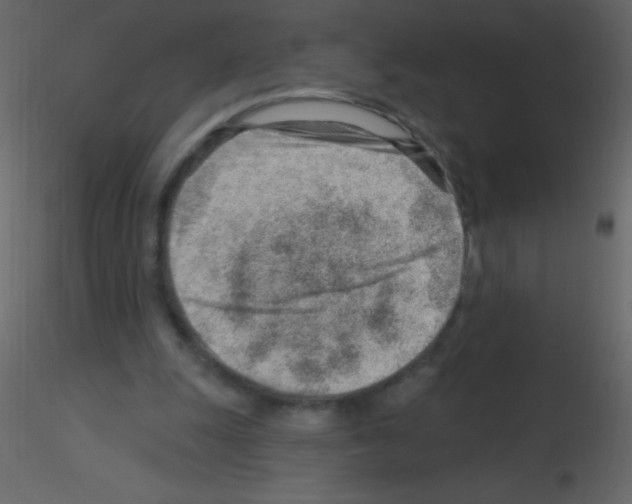 X0000115730247200912241632