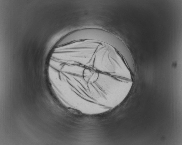 X0000115730248200912241632