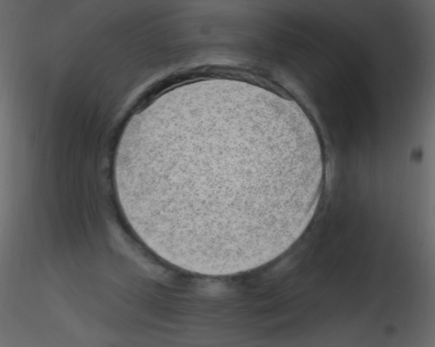 X0000115730249200912241632
