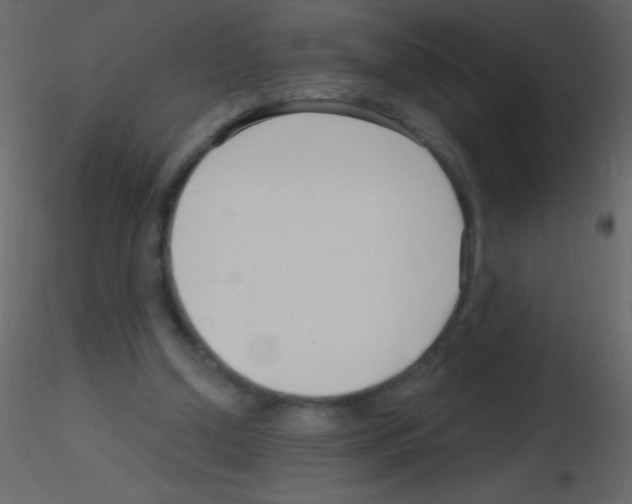 X0000115730250200912241632