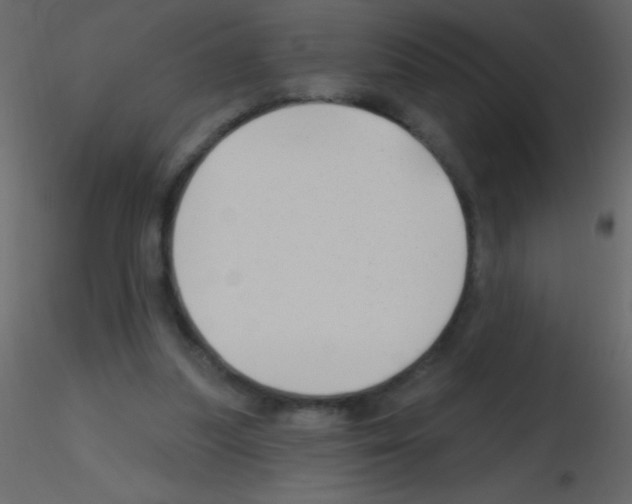 X0000115730251200912241632