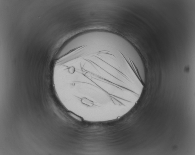X0000115730252200912241632