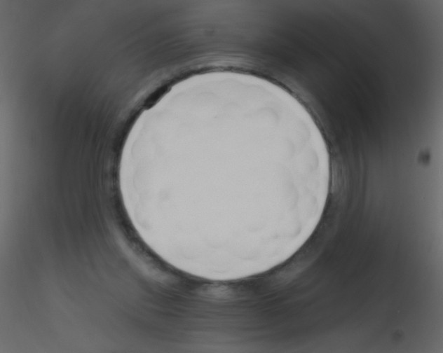 X0000115730253200912241632