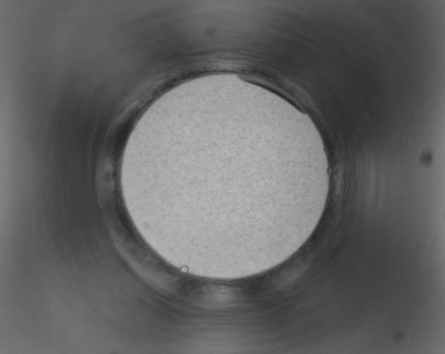 X0000115730254200912241632