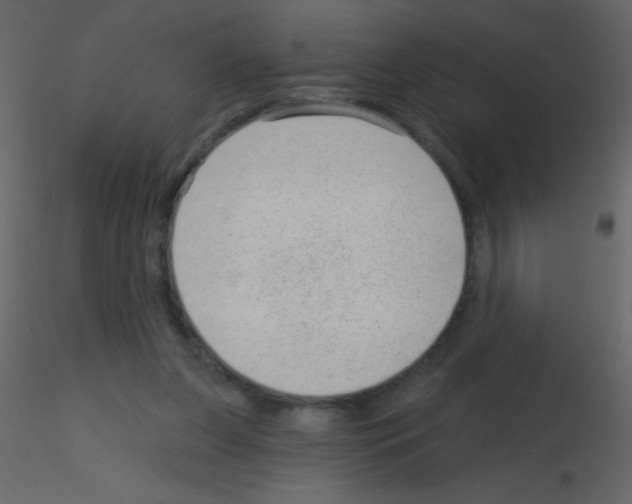 X0000115730255200912241632