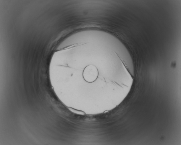 X0000115730256200912241632