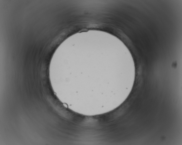 X0000115730257200912241632