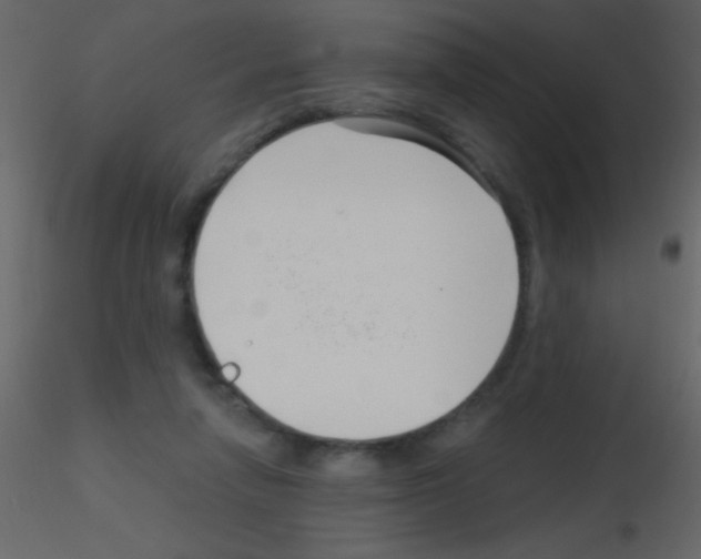 X0000115730258200912241632