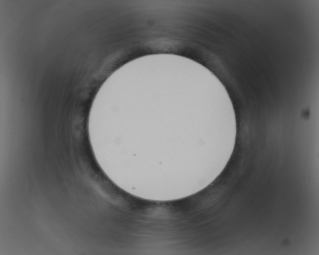 X0000115730259200912241632