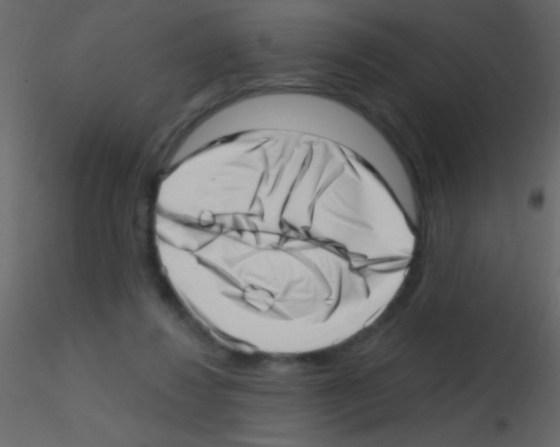 X0000115730260200912241632