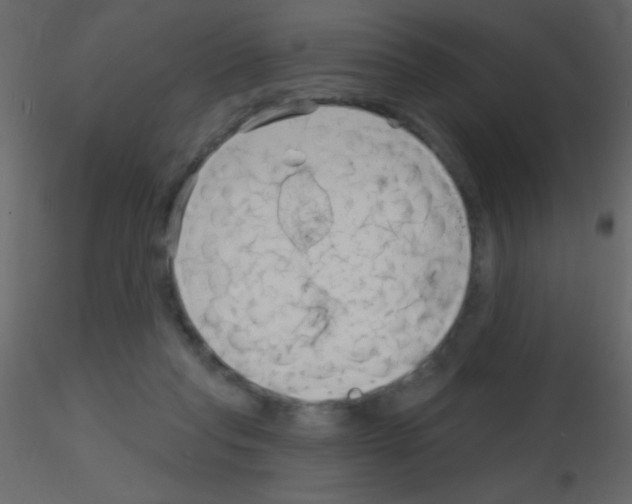 X0000115730261200912241632