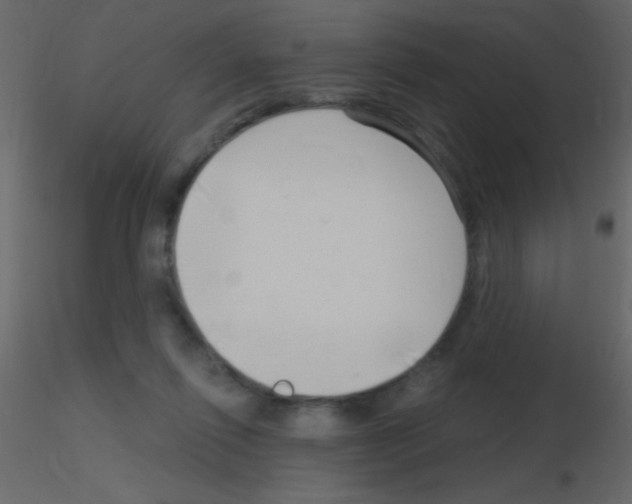 X0000115730262200912241632
