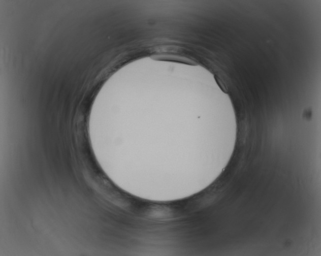 X0000115730263200912241632