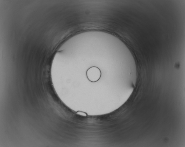 X0000115730264200912241632