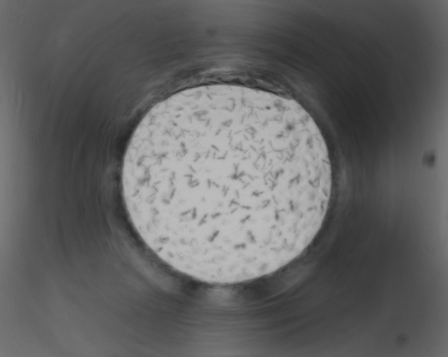 X0000115730265200912241632