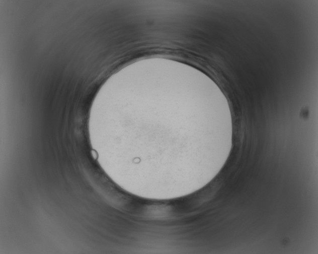 X0000115730266200912241632
