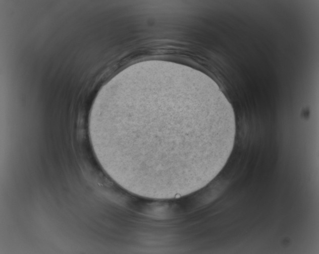 X0000115730267200912241632