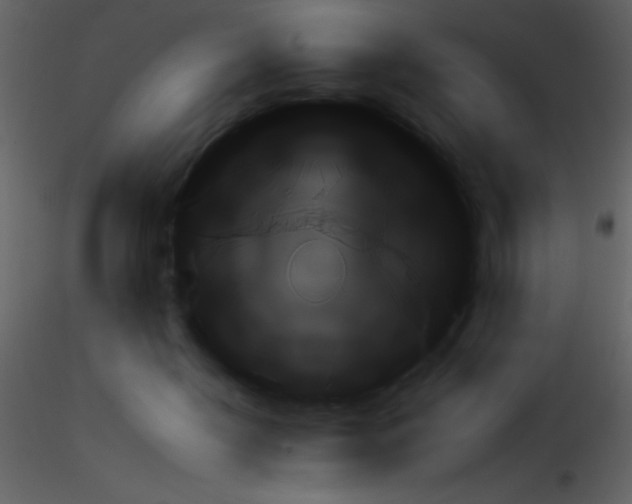 X0000115730268200912241632