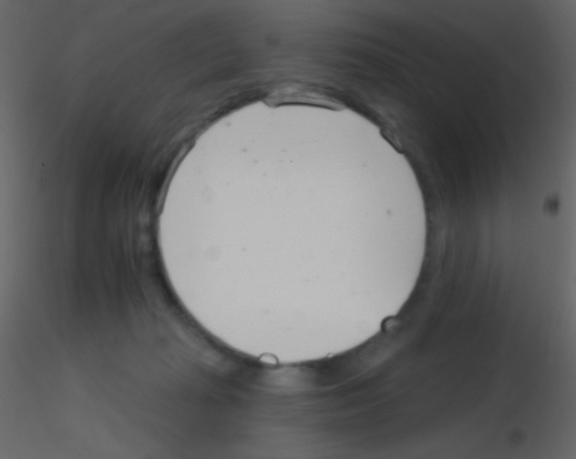 X0000115730269200912241632