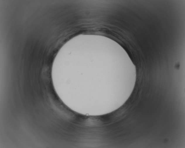 X0000115730270200912241632