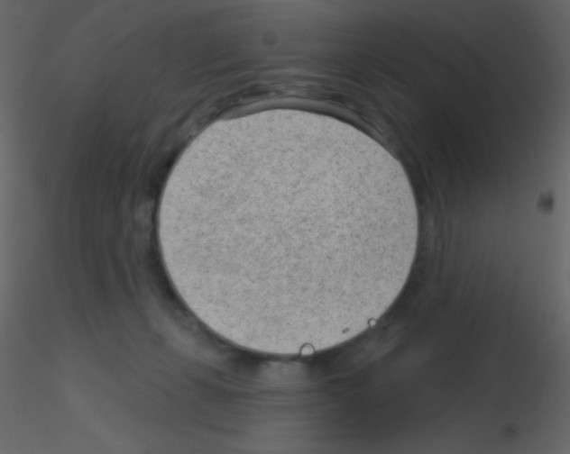 X0000115730271200912241632