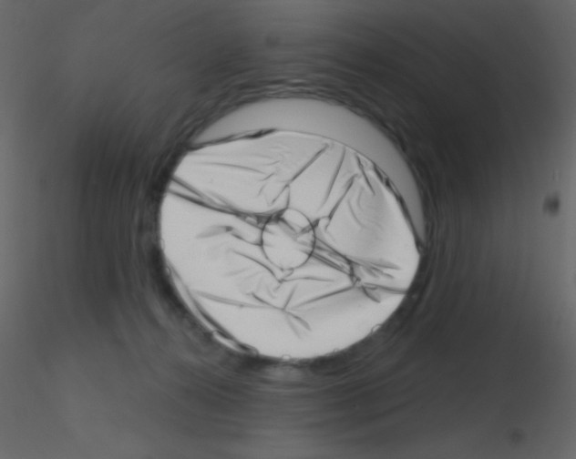X0000115730272200912241632