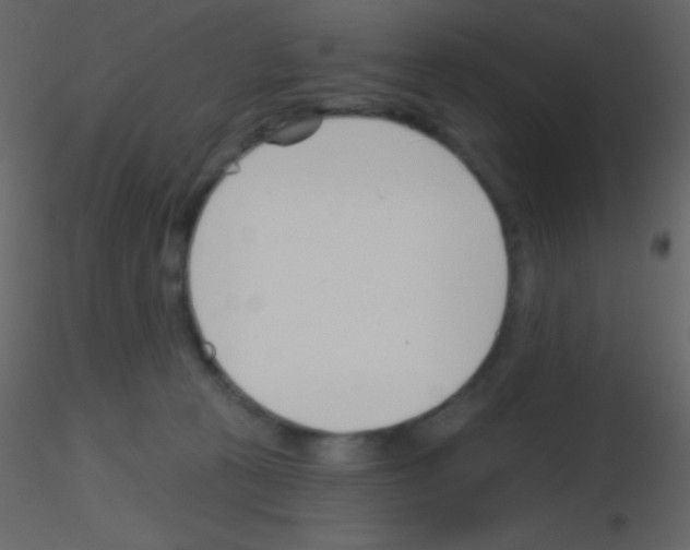 X0000115730273200912241632