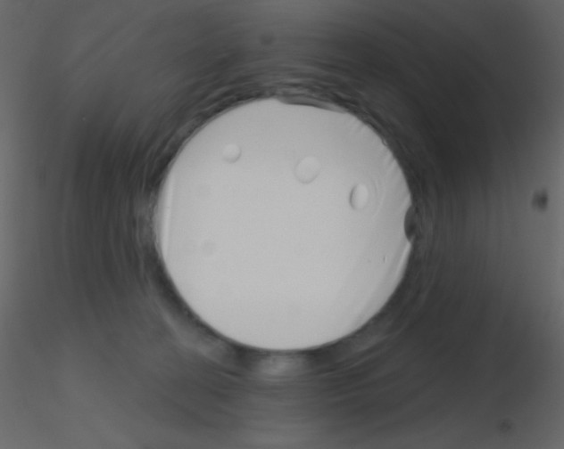 X0000115730274200912241632