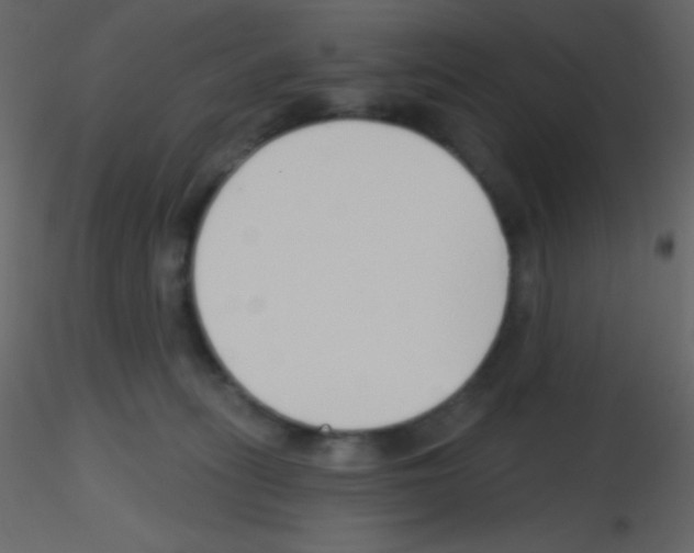 X0000115730275200912241632