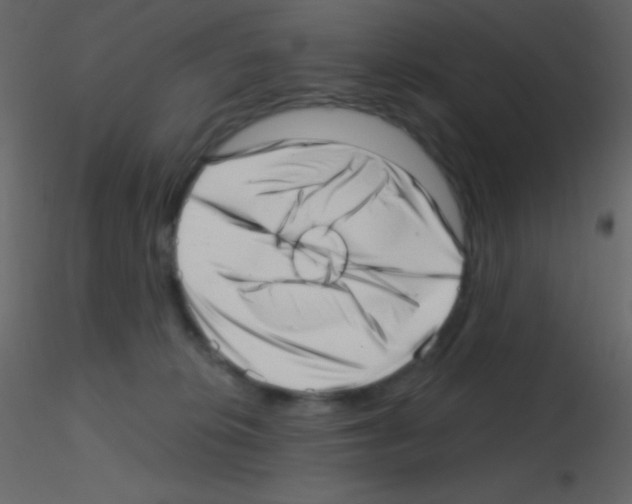 X0000115730276200912241632