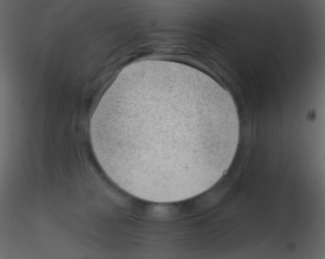 X0000115730277200912241632