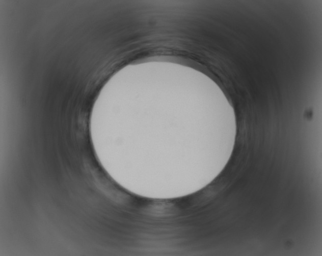 X0000115730278200912241632
