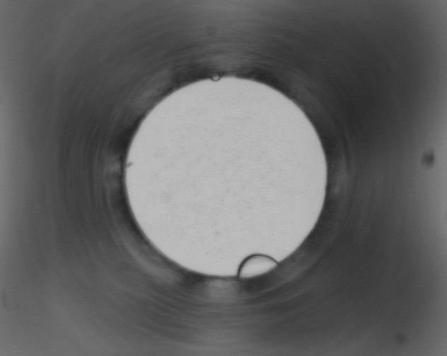 X0000115730279200912241632