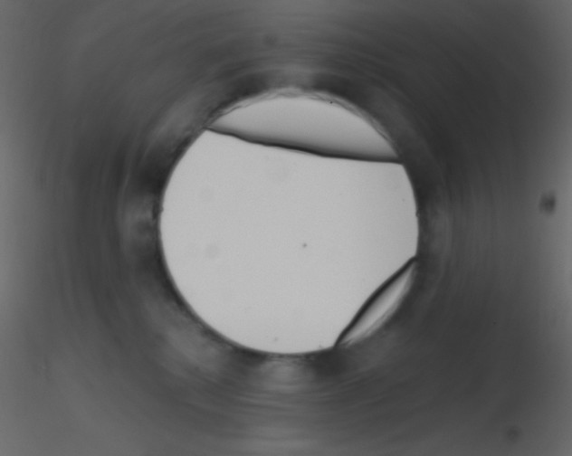 X0000115730280200912241632