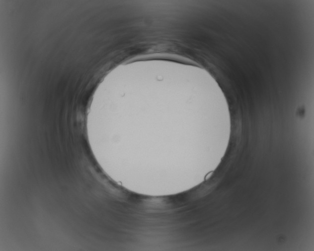 X0000115730281200912241632