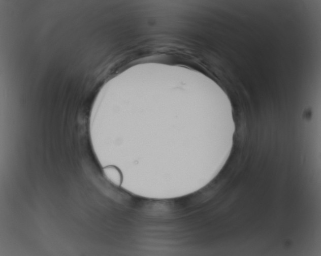 X0000115730282200912241632