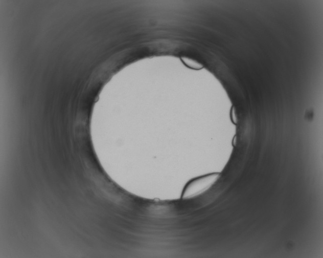 X0000115730283200912241632
