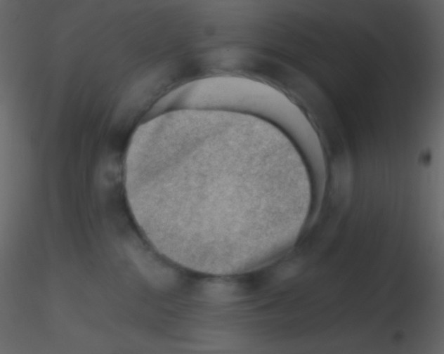 X0000115730284200912241633
