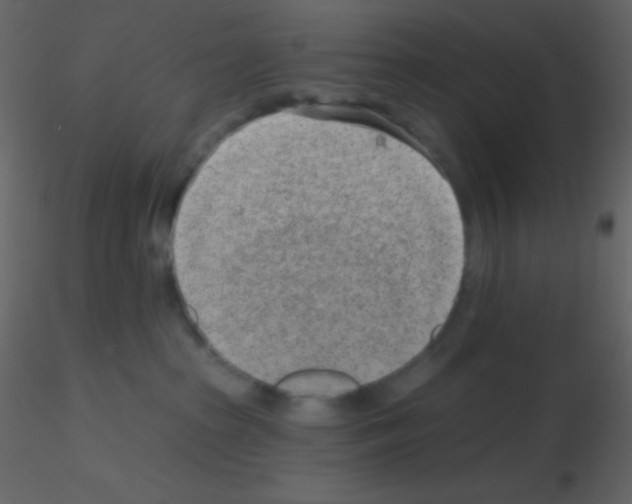 X0000115730285200912241633