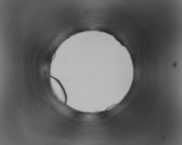 X0000115730286200912241633