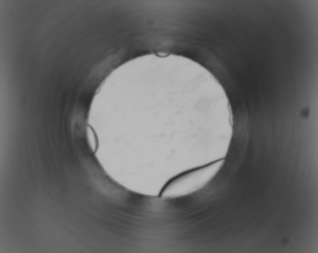 X0000115730287200912241633