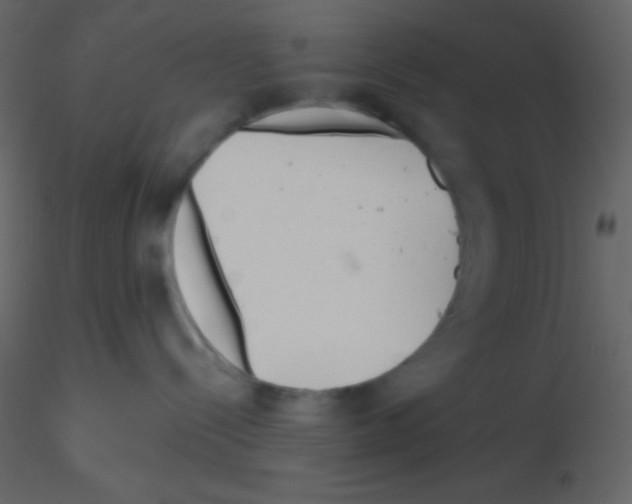 X0000115730288200912241633
