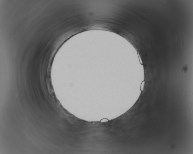 X0000115730289200912241632