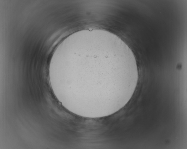 X0000115730290200912241632