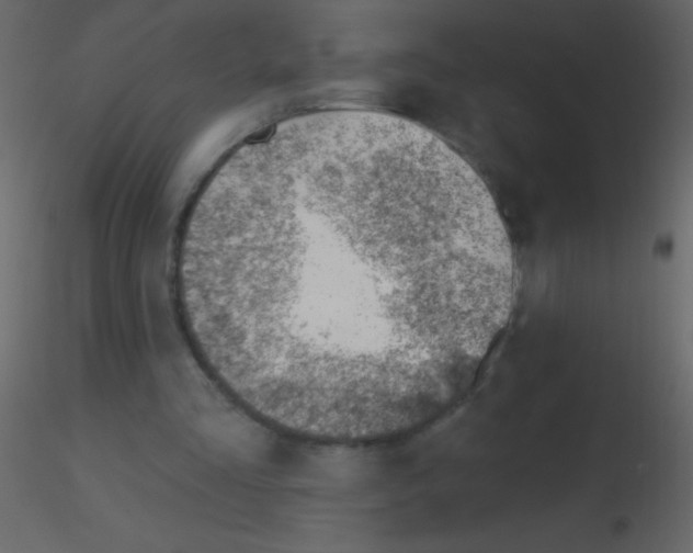 X0000115730293200912241632
